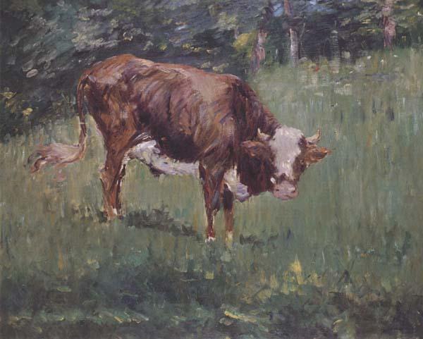 Edouard Manet Jeune taureau dans un pre (mk40) oil painting picture